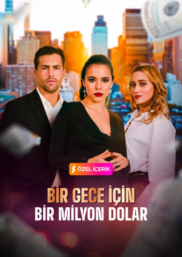 BİR GECE İÇİN BİR MİLYON DOLAR