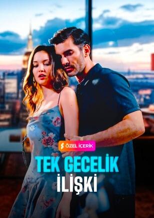 TEK GECELİK İLİŞKİ